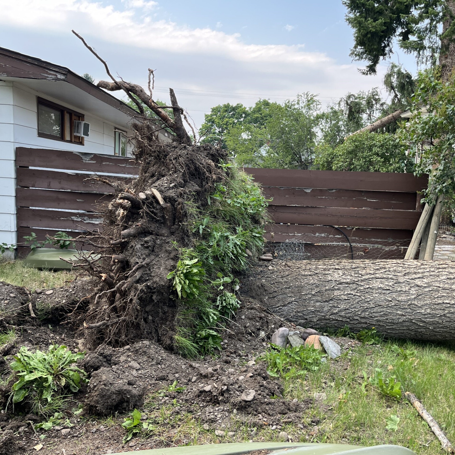 debris removal